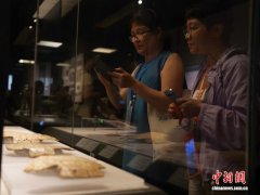 河南郑州：海外华教工作者